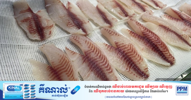 Fish Farm Eyes Raw Tilapia Exports