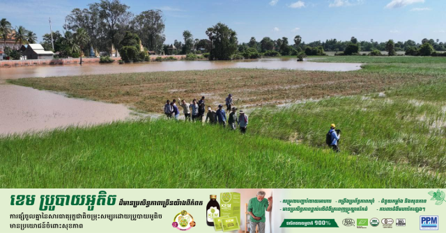 Minister of Agriculture to Supply Rice Seeds for Flood-hit Farmers