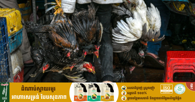 Cambodia Reports 3rd Bird Flu Death This Year
