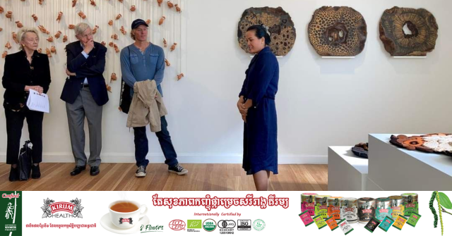 Contemporary Khmer Art Show Captivates Australians
