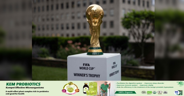 Indonesia Endorses Saudi Arabia's 2034 World Cup Bid