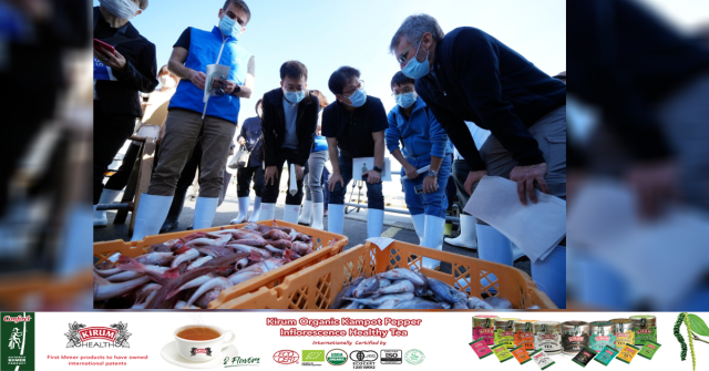 UN Inspectors Test Fukushima Fish