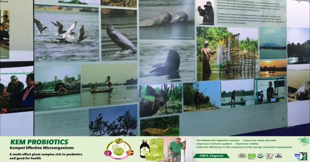 Exhibition Shares Knowledge About Mekong Dolphins