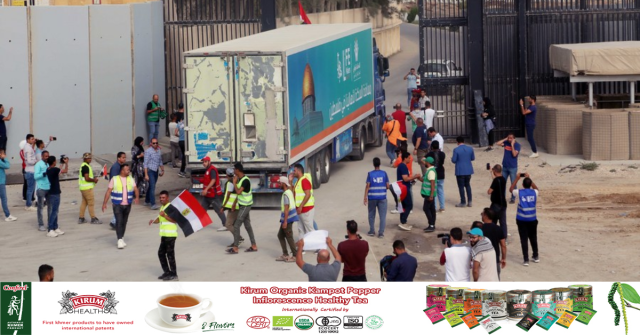 Second convoy of relief trucks en route to Gaza through Rafah crossing