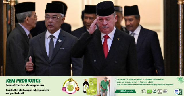 Malaysia Picks Sultan Ibrahim to be Next King