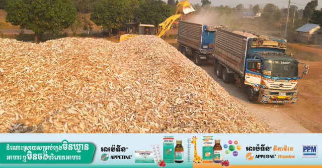 Cambodia Ready to Export 500,000 tonnes of Dried Cassava to China