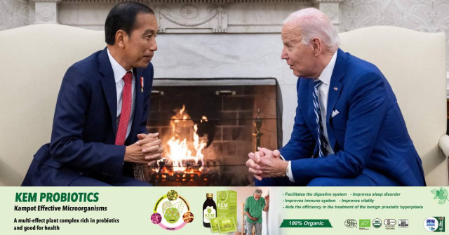 Indonesian President Urges Biden to Help End Gaza 'Atrocities'