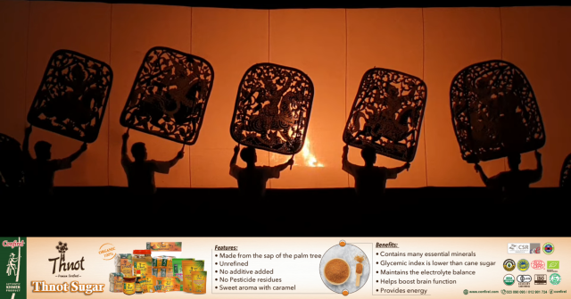 Celebrating Angkor with a Shadow Theatre Performance
