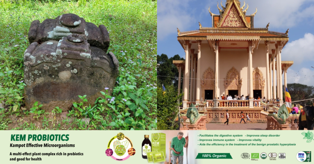 Simas at Cambodian Pagodas: Nature and Function 