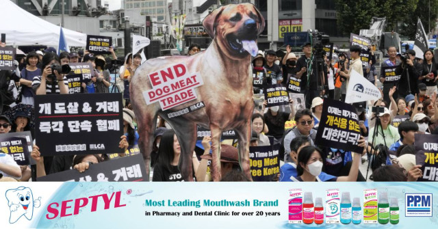 South Korea’s Parliament Passes Landmark Ban on Production and Sales of Dog Meat