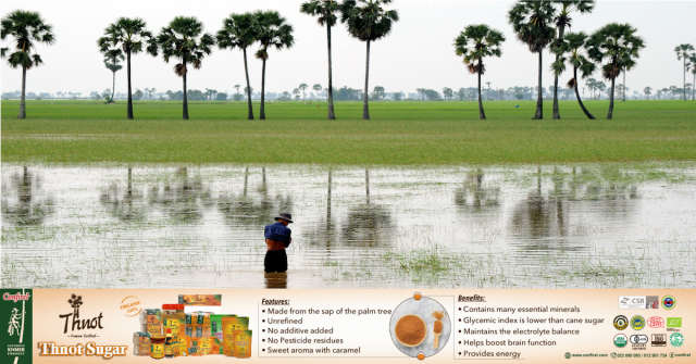 Soon, Rice Fields without Farmers, without Oxen?