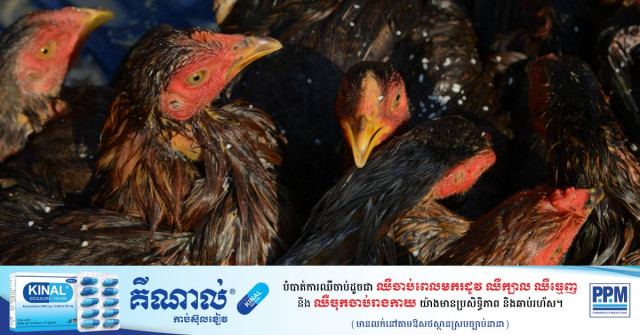 Cambodia Records 2nd Human Case of Bird Flu So Far This Year