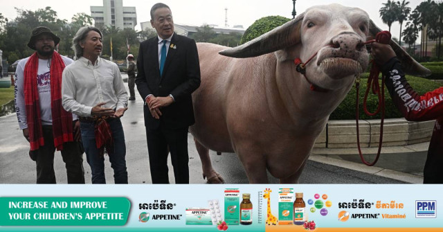 Thai PM Meets $500,000 Albino Buffalo in 'Soft Power' Push