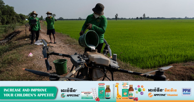In Vietnam, Farmers Reduce Methane Emissions by Changing How They Grow Rice