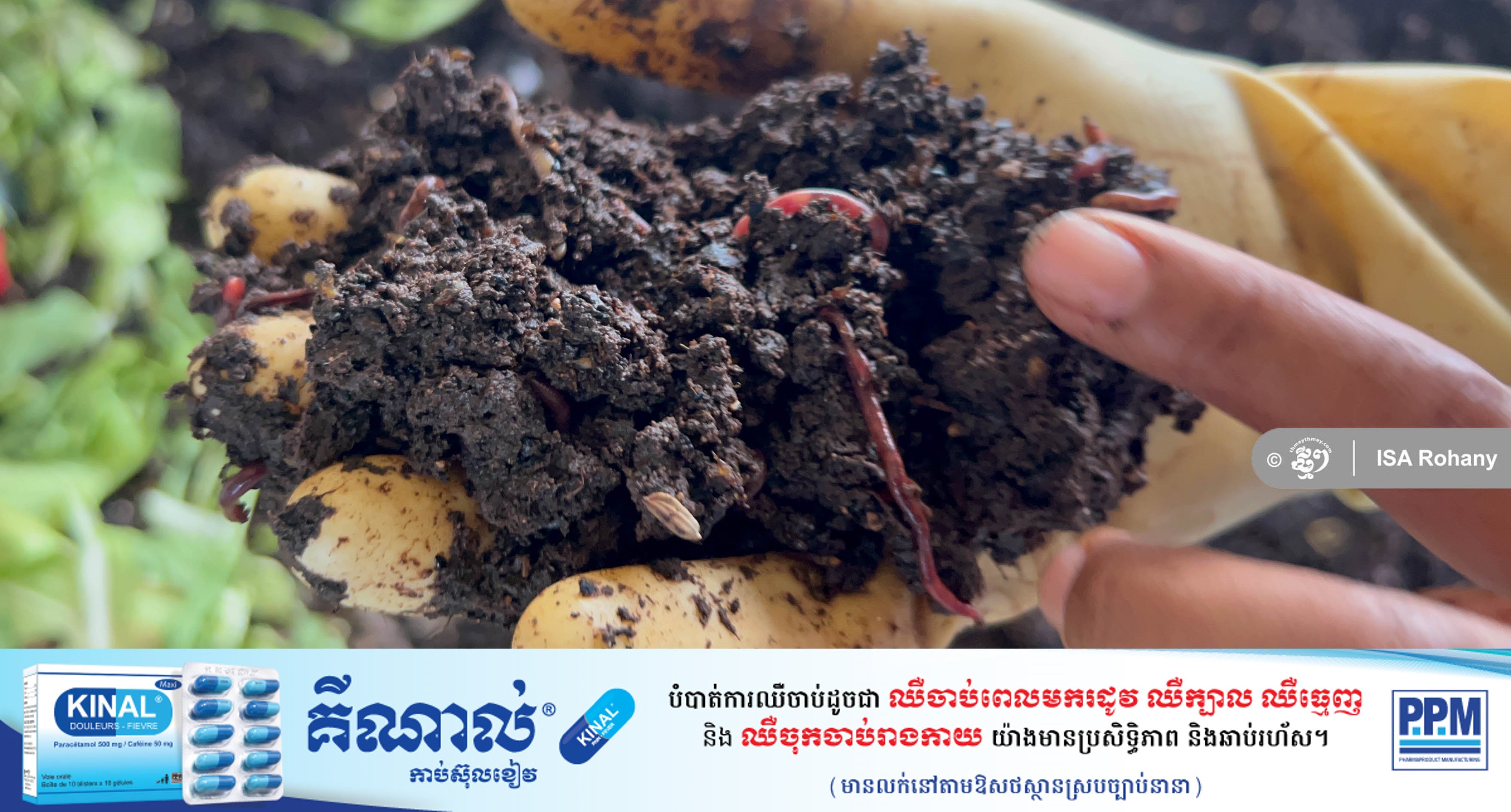 Recycling Organic Waste into Earthworm Compost in Siem Reap Province