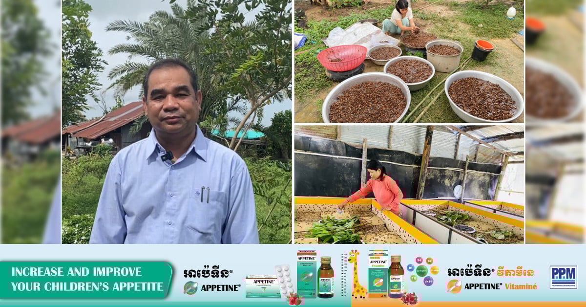 Sustainable Livelihoods: AVSF Supports Local Cricket Farming Sustainable Livelihoods: AVSF Supports Local Cricket Farming