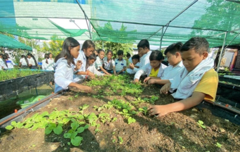 School Garden Project Enhances Agricultural Skills and Fosters Community Engagement