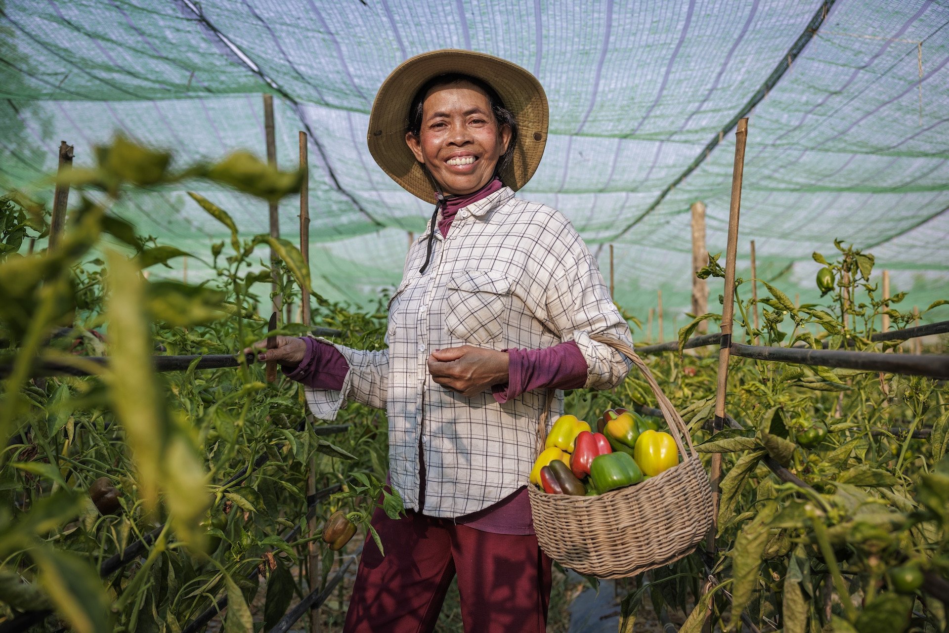 NZ-Funded Climate-Smart Project Boosts Rural Farmers